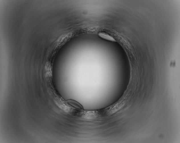 X0000101180384200806271257