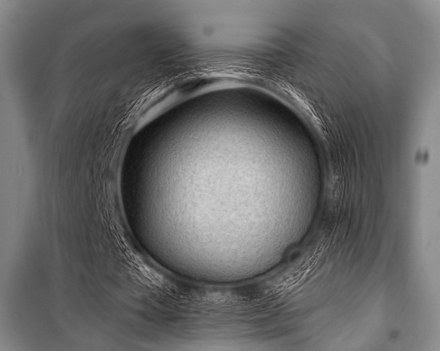 X0000101180385200806271257