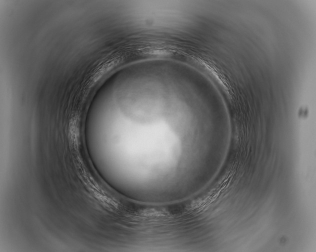X0000101180386200806271257