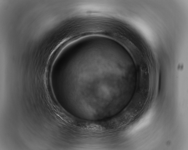 X0000101180387200806271257