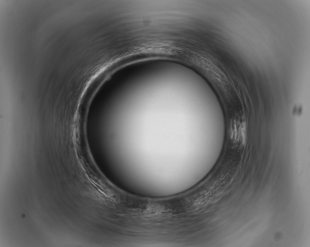 X0000101180388200806271257