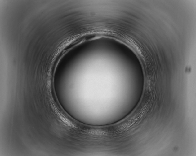 X0000101180389200806271257