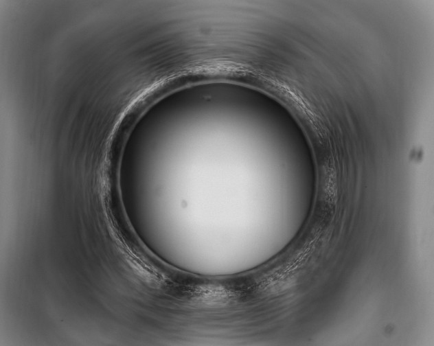 X0000101180392200806271257