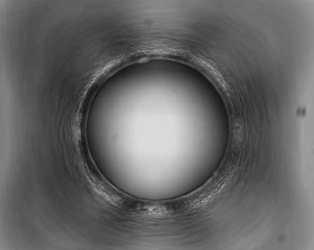 X0000101180395200806271256