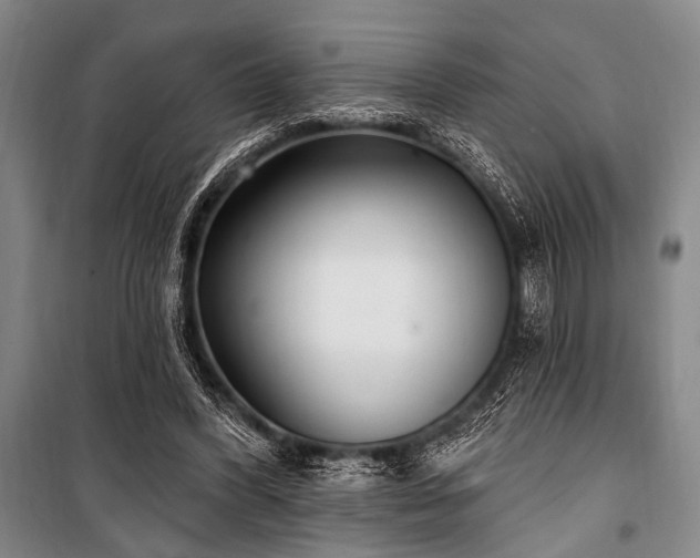 X0000101180396200806271256