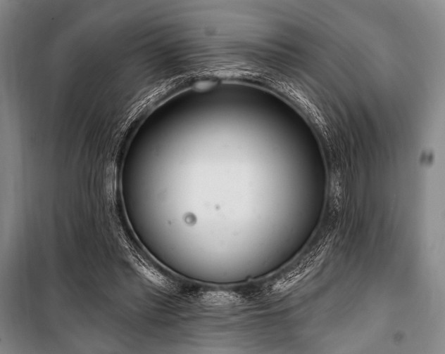 X0000101180397200806271256