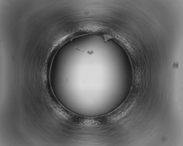 X0000101180399200806271256