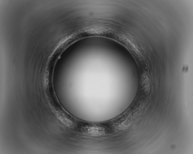 X0000101180400200806271256