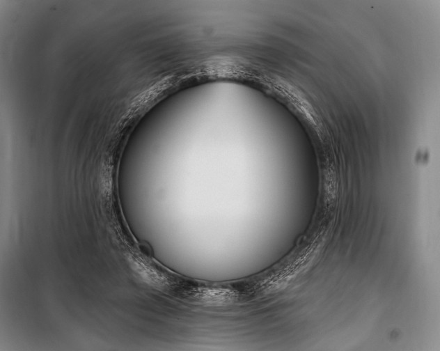X0000101180401200806271256