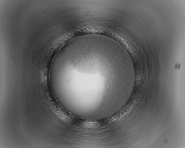 X0000101180402200806271256
