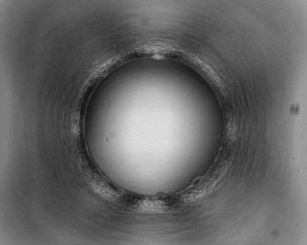 X0000101180403200806271256