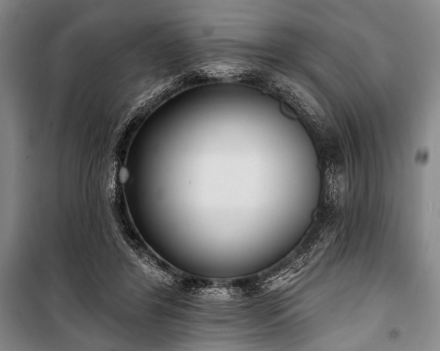 X0000101180404200806271256