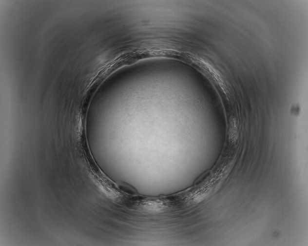 X0000101180405200806271256