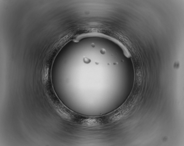 X0000101180406200806271256