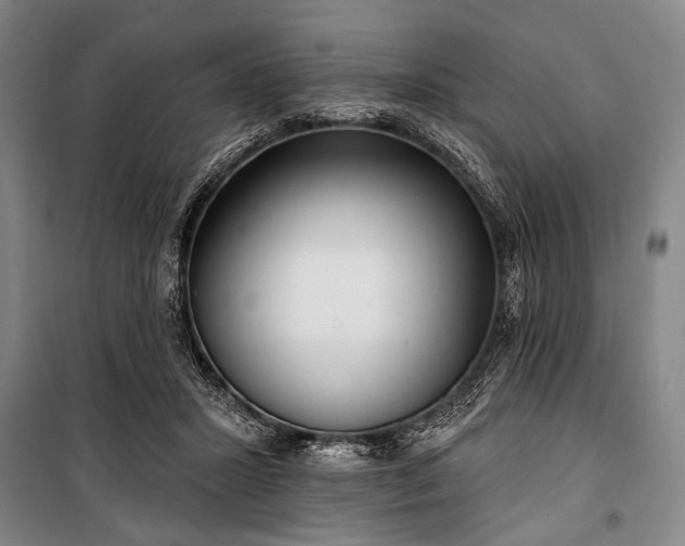 X0000101180407200806271256