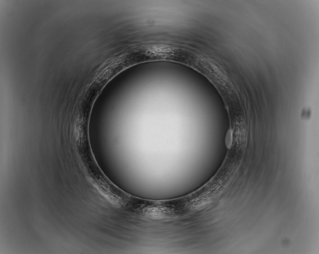 X0000101180408200806271256