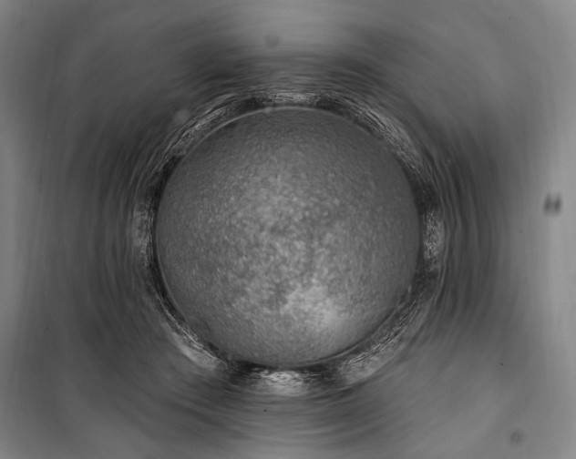 X0000101180409200806271256