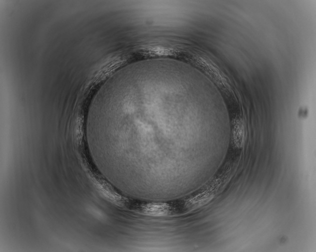 X0000101180410200806271256
