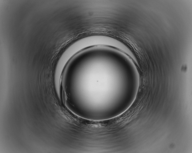 X0000101180411200806271256