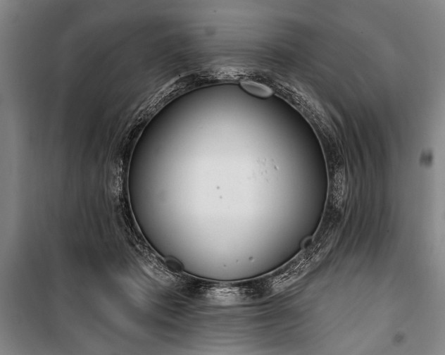 X0000101180413200806271256