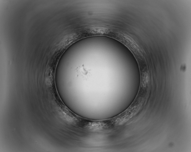 X0000101180414200806271256