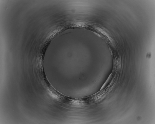 X0000101180415200806271256
