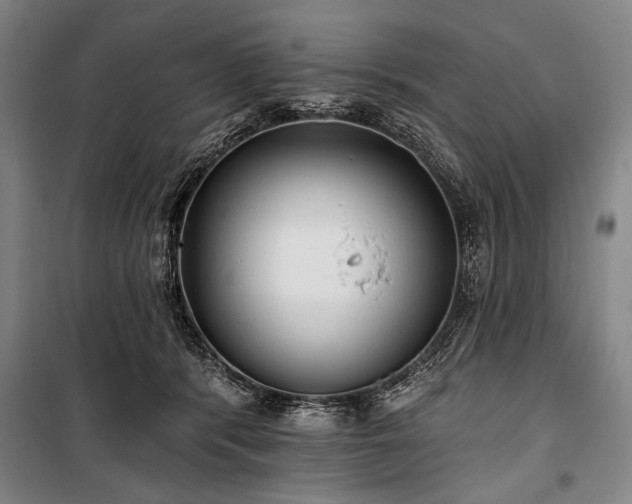 X0000101180416200806271256