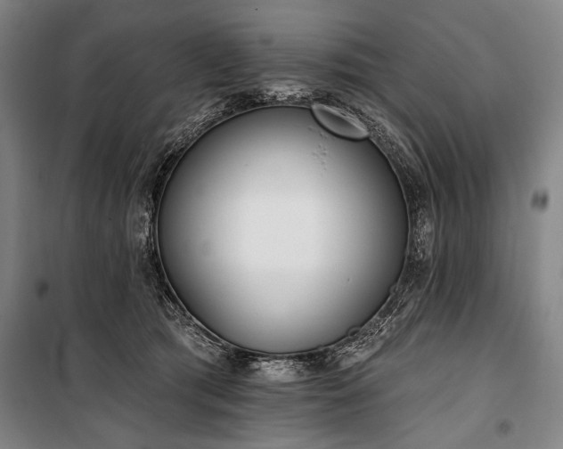 X0000101180417200806271256