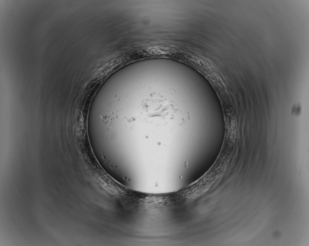 X0000101180418200806271256