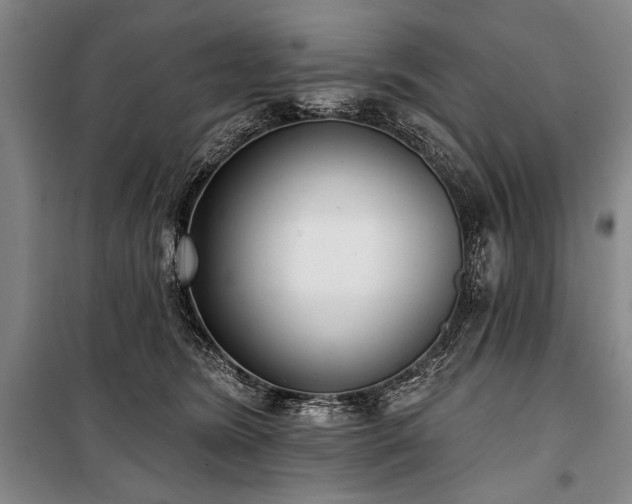 X0000101180420200806271256