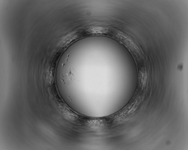 X0000101180422200806271256