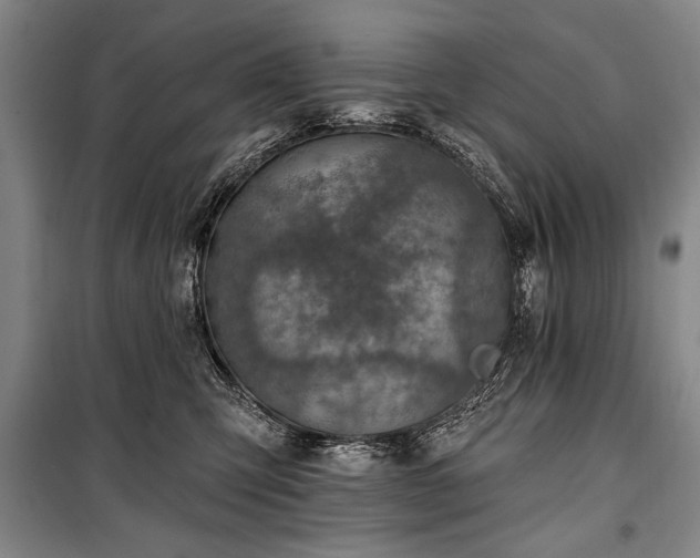 X0000101180423200806271256