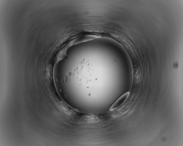 X0000101180424200806271256