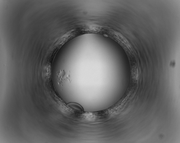 X0000101180425200806271256