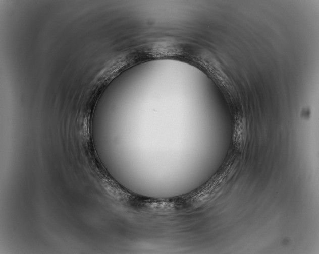 X0000101180426200806271256