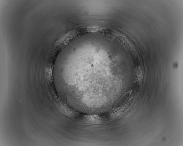 X0000101180427200806271256