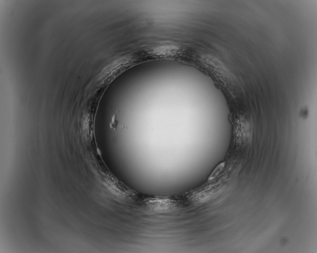 X0000101180428200806271256