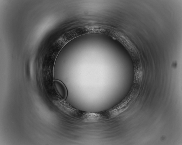 X0000101180429200806271256