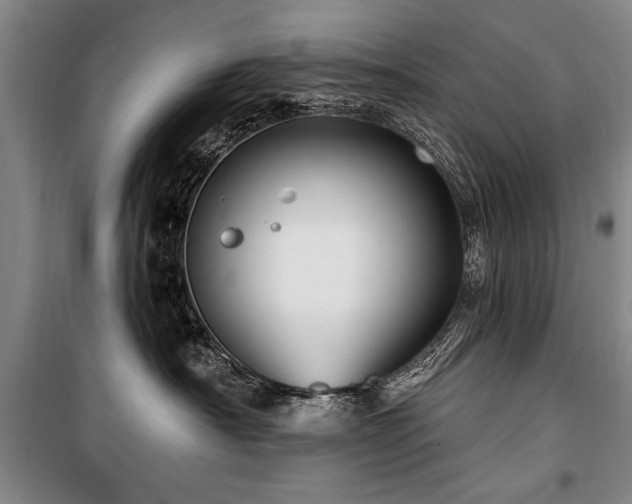 X0000101180430200806271256