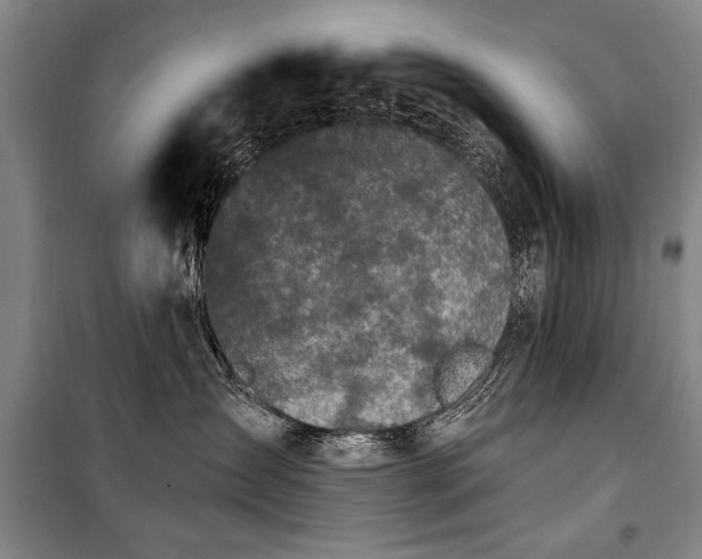 X0000101180431200806271256
