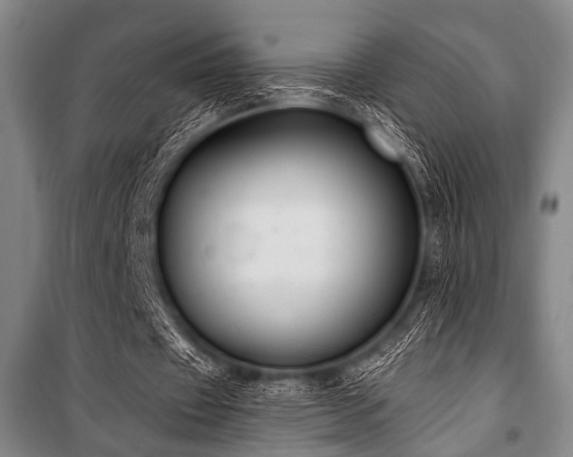 X0000101180433200806271255
