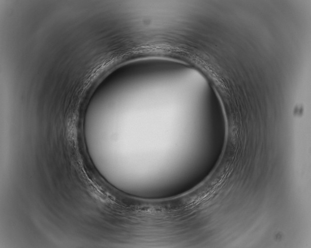 X0000101180434200806271255