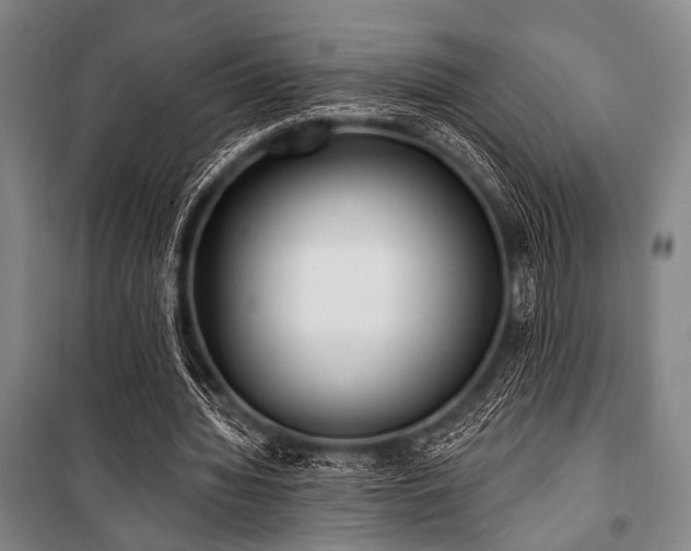 X0000101180436200806271255