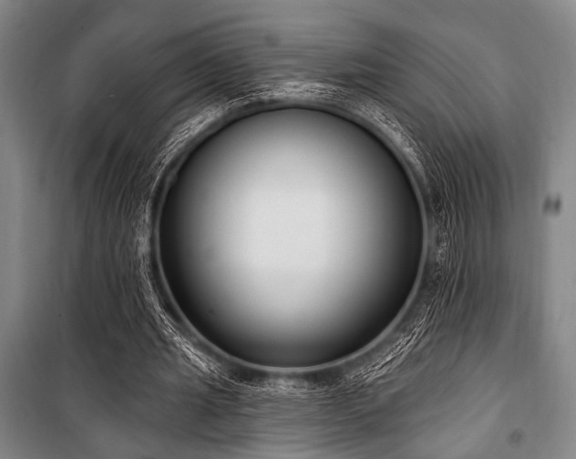 X0000101180437200806271255