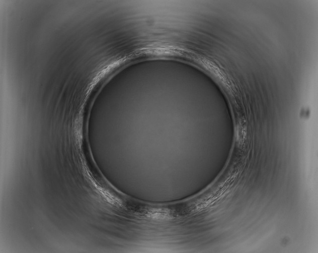 X0000101180438200806271255