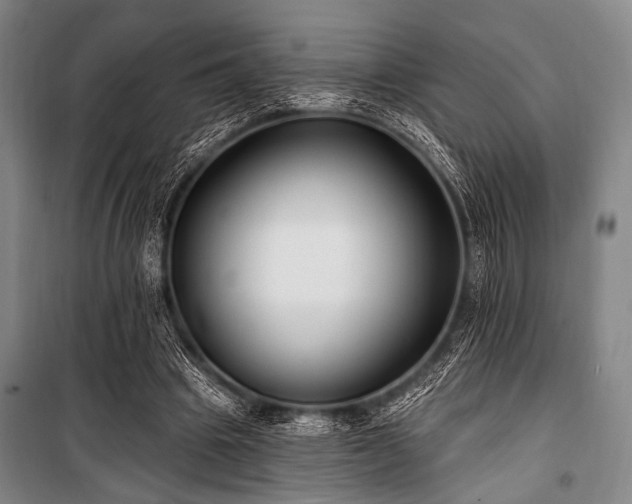 X0000101180441200806271255