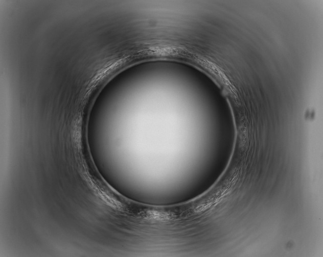 X0000101180442200806271255