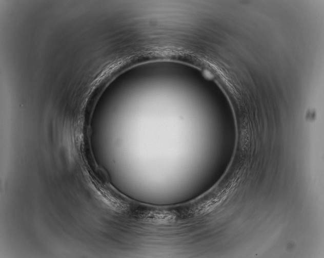 X0000101180443200806271255