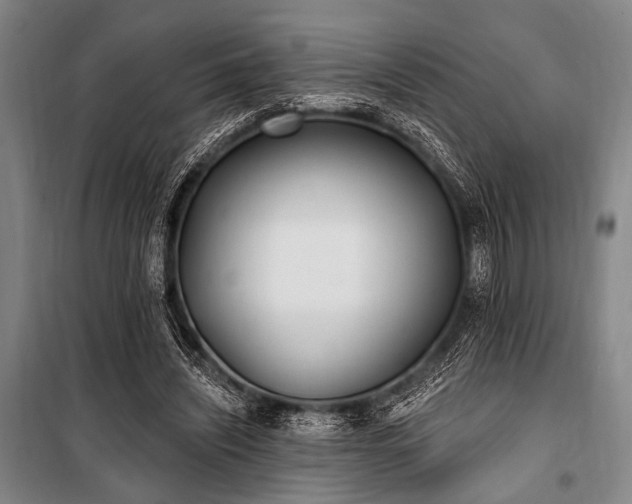 X0000101180444200806271255