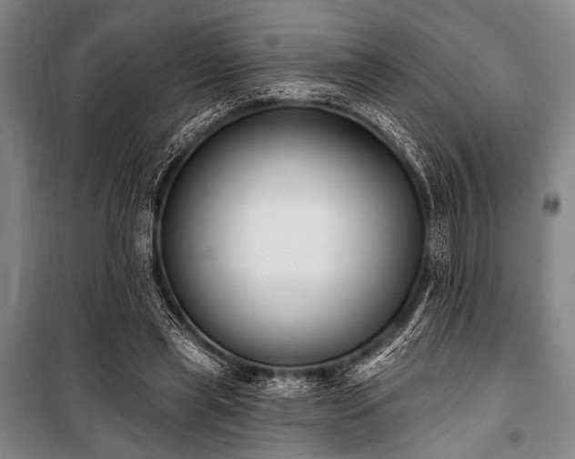 X0000101180445200806271255
